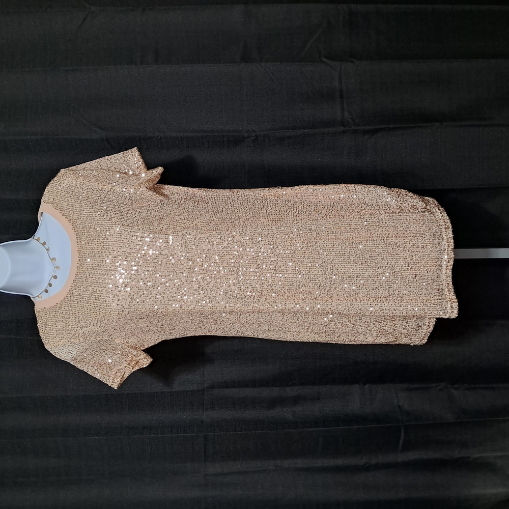 Sequin Short Sleeve Dress